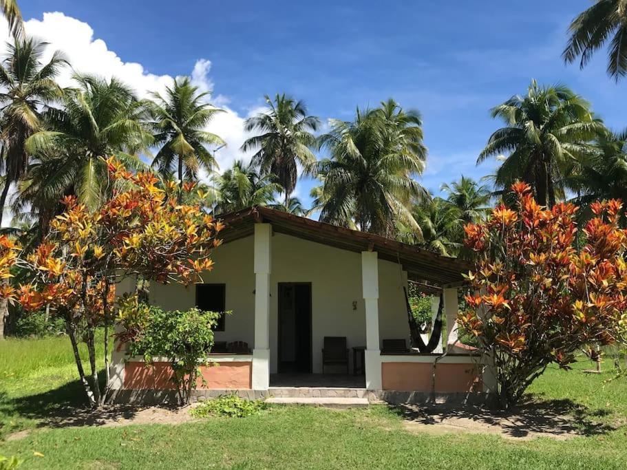 Casinha Jardim Das Palmeiras Morro de São Paulo Eksteriør billede